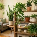 How Many Air Purifying Plants Do I Really Need Per Room?
