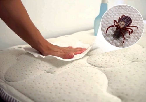 Still Sneezing Indoors? How to Get Rid of Dust Mites Effectively