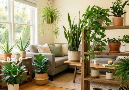 How Many Air Purifying Plants Do I Really Need Per Room?